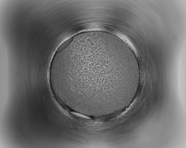 X0000095120805200712211308