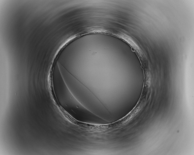 X0000095120806200712211308