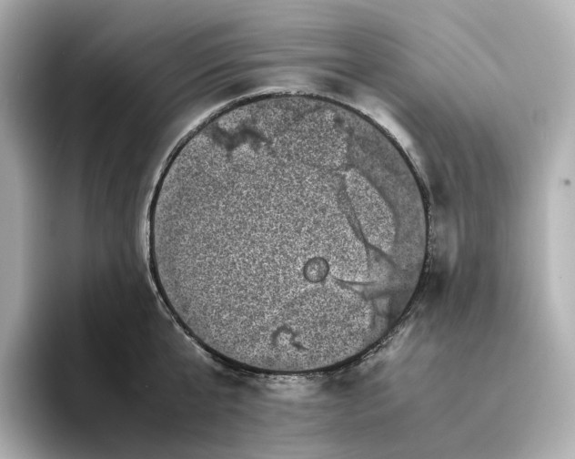 X0000095120807200712211308