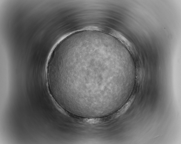 X0000095120808200712211308