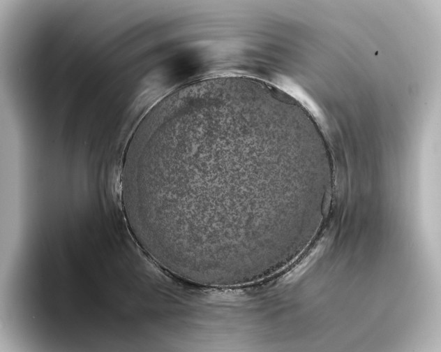 X0000095120809200712211308