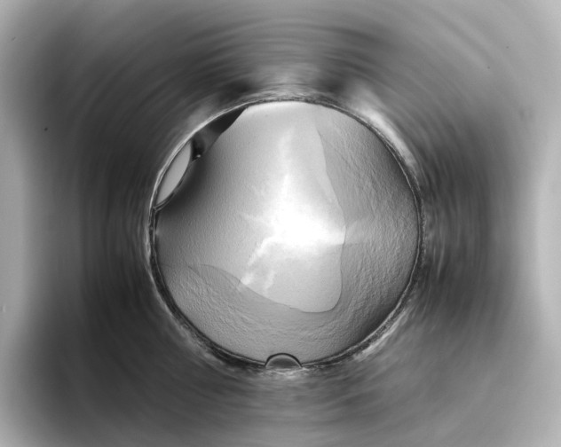 X0000095120810200712211308