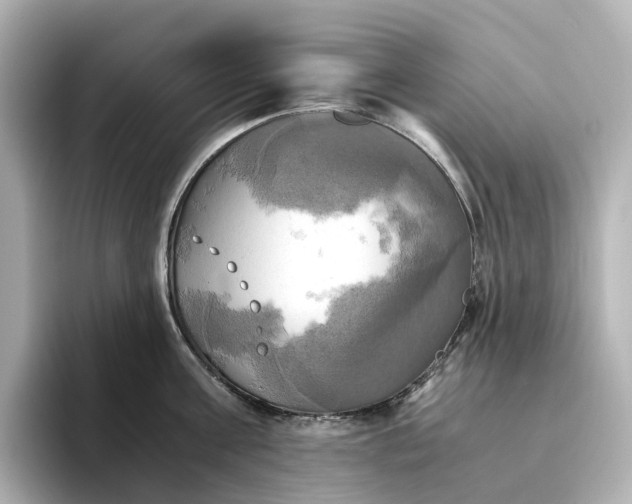 X0000095120811200712211308