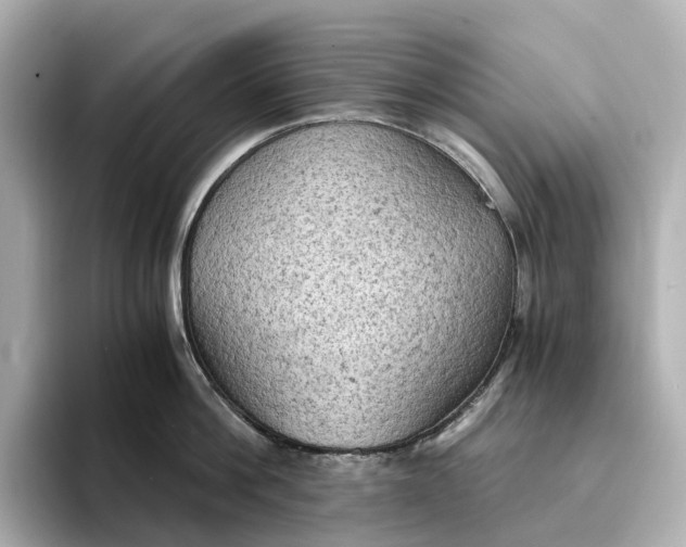 X0000095120812200712211308