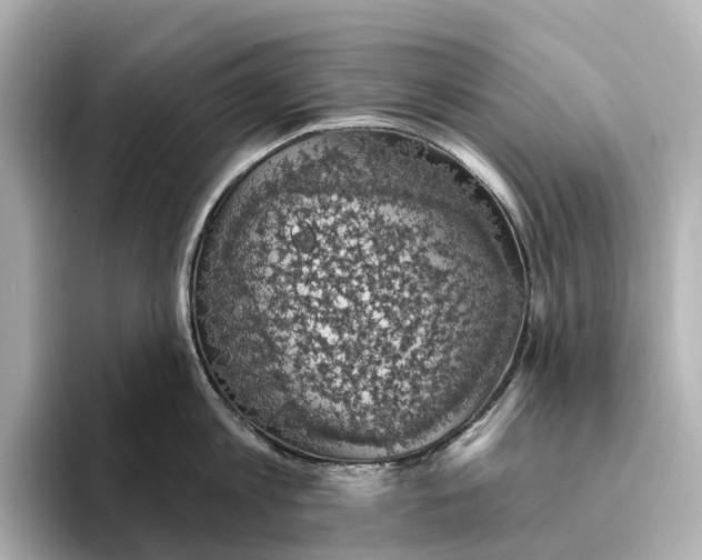 X0000095120813200712211308