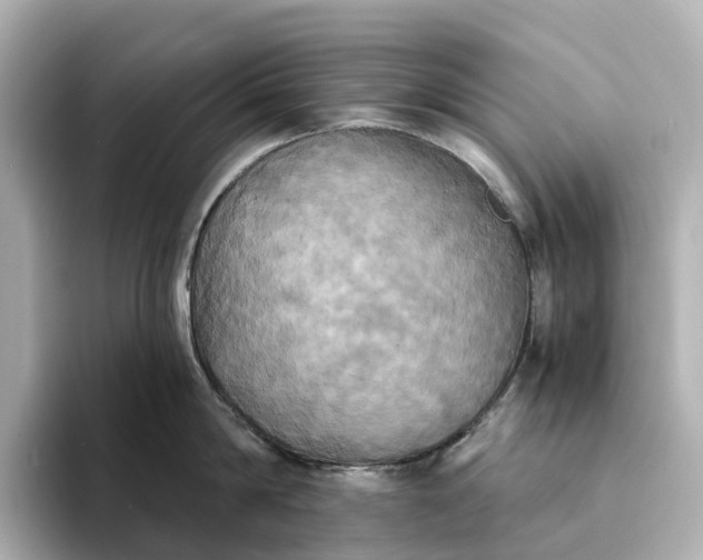 X0000095120814200712211308