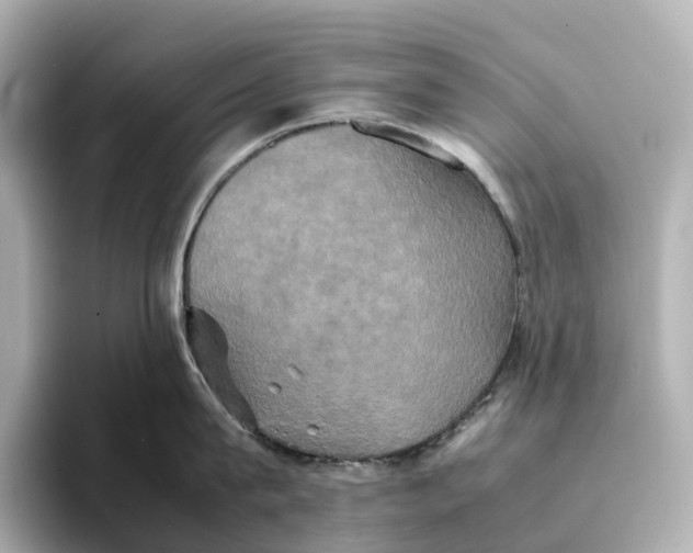 X0000095120815200712211308