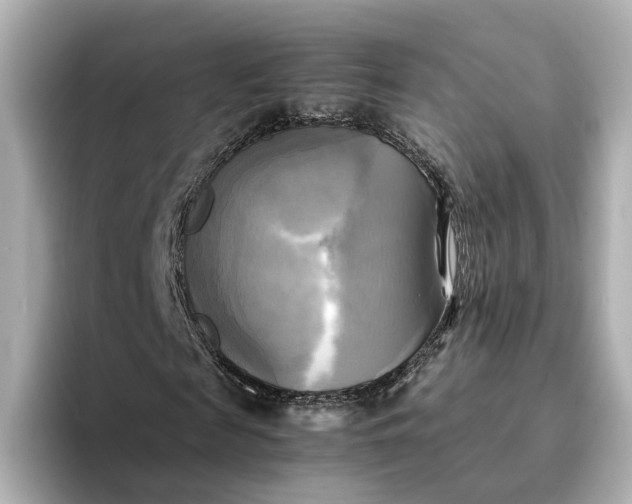 X0000095120817200712211308