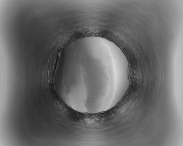 X0000095120818200712211308