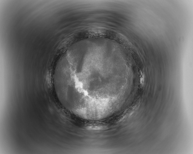 X0000095120819200712211308