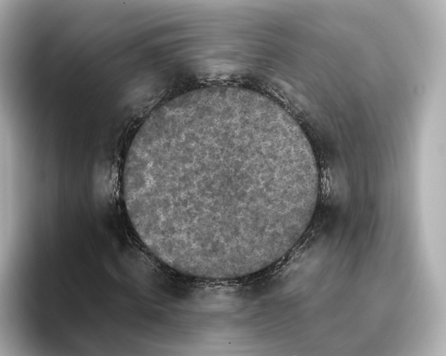 X0000095120820200712211308