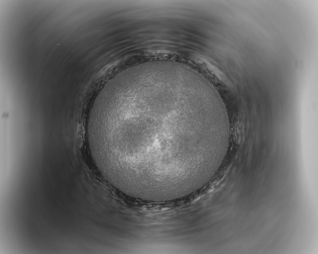 X0000095120821200712211308