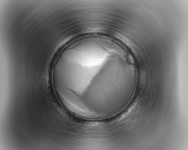 X0000095120826200712211308