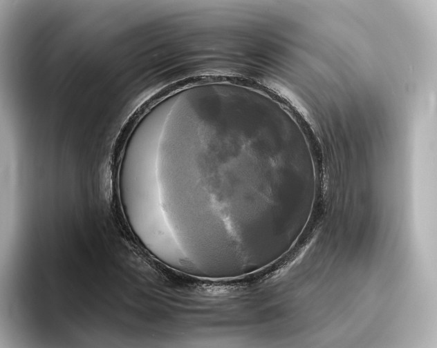 X0000095120829200712211308