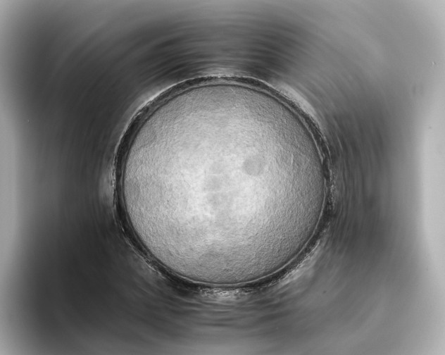 X0000095120831200712211308