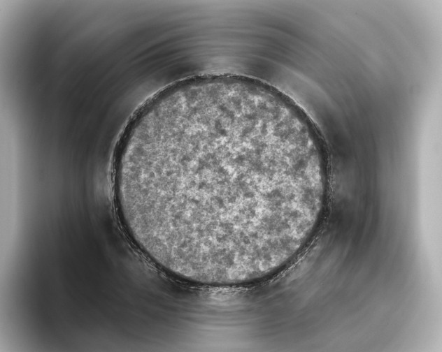 X0000095120832200712211308