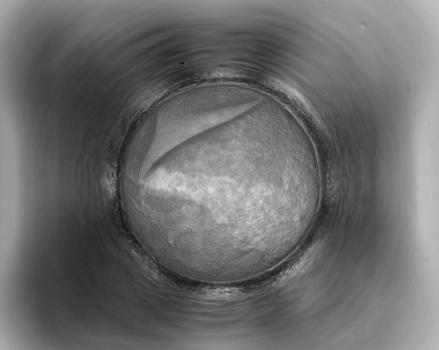 X0000095120833200712211308