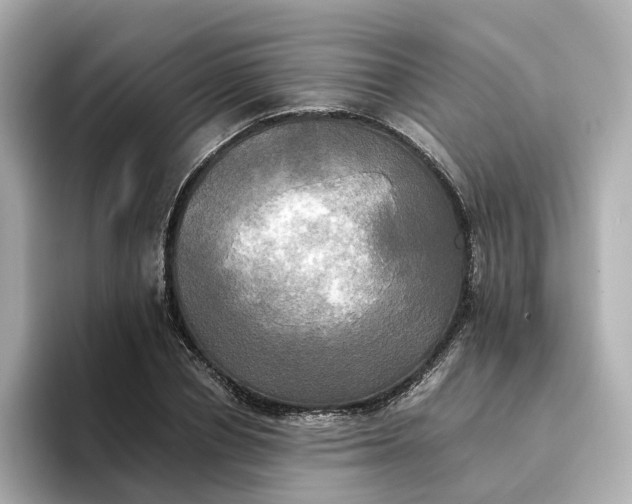 X0000095120834200712211308