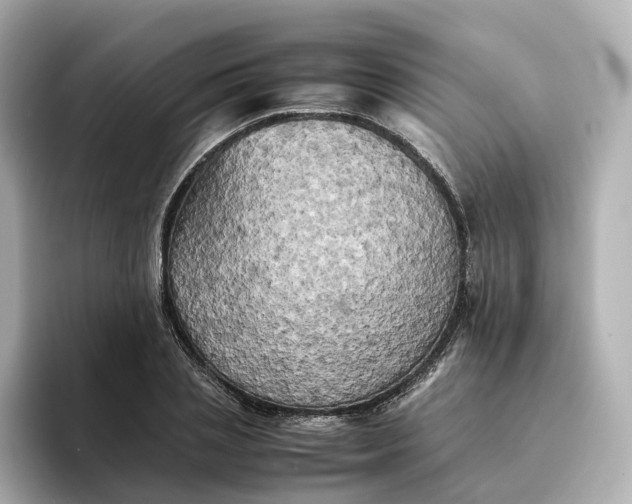 X0000095120837200712211308