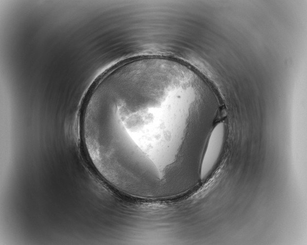 X0000095120838200712211308