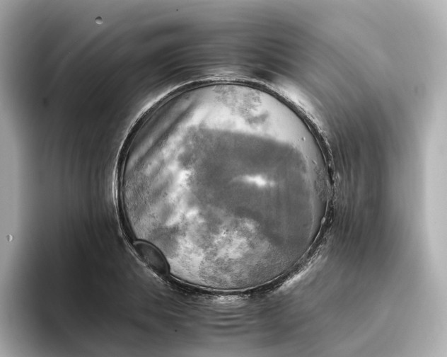 X0000095120839200712211308