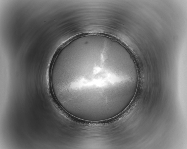 X0000095120840200712211308