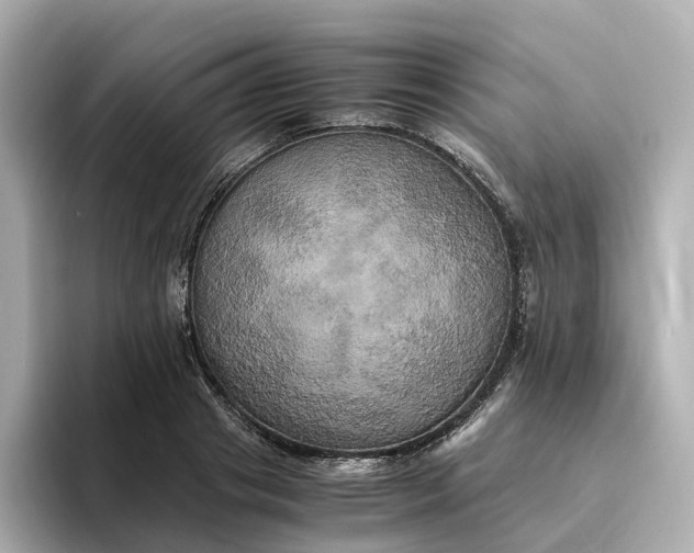 X0000095120841200712211308