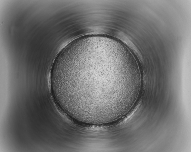 X0000095120842200712211308