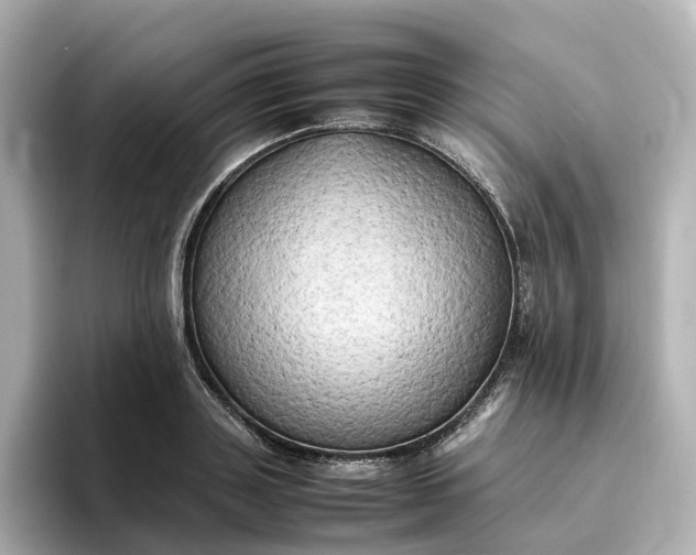 X0000095120843200712211308