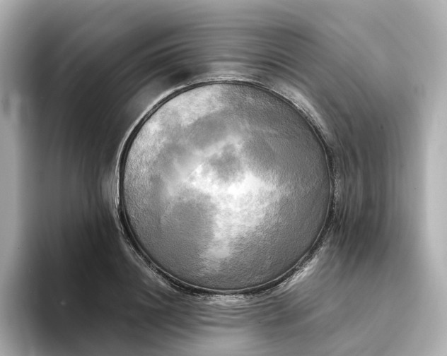 X0000095120844200712211308