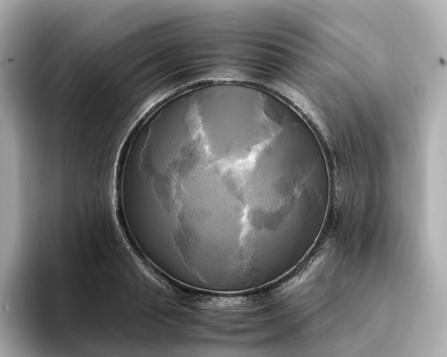 X0000095120845200712211308