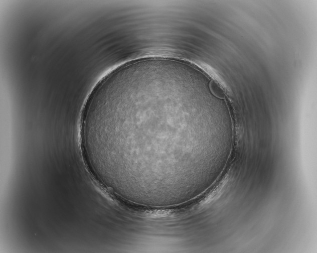 X0000095120846200712211308