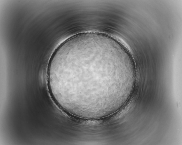 X0000095120847200712211308