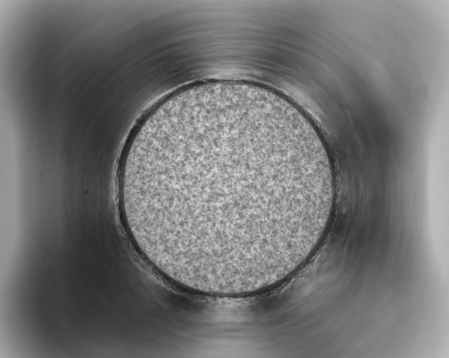 X0000095120848200712211308