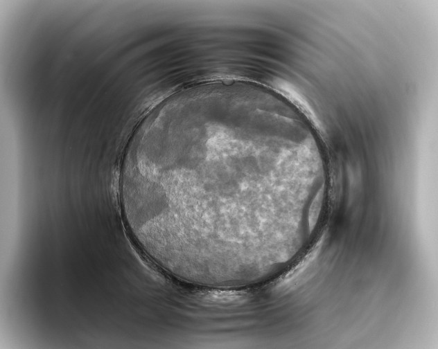 X0000095120849200712211308