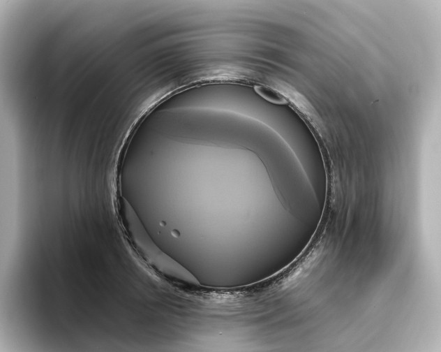 X0000095120850200712211308