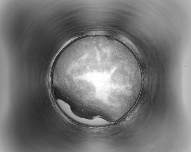 X0000095120852200712211308