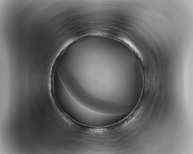 X0000095120853200712211308