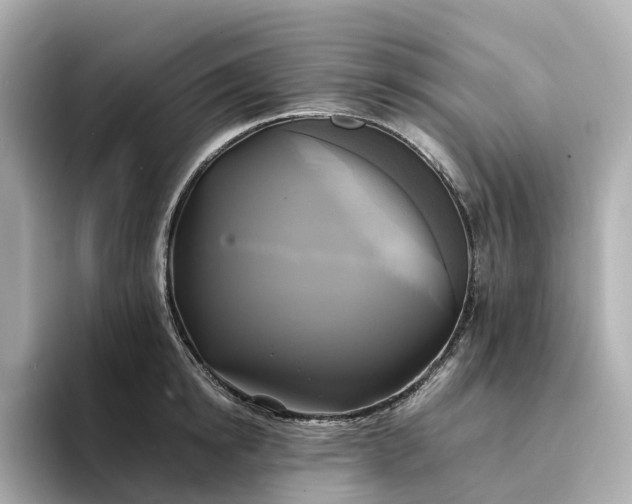 X0000095120854200712211308