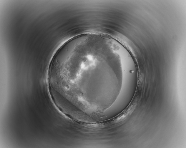 X0000095120855200712211308