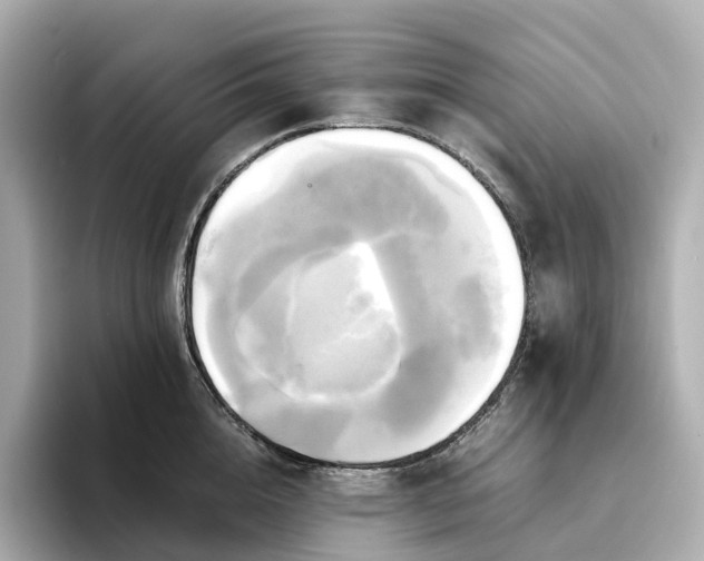 X0000095120856200712211308