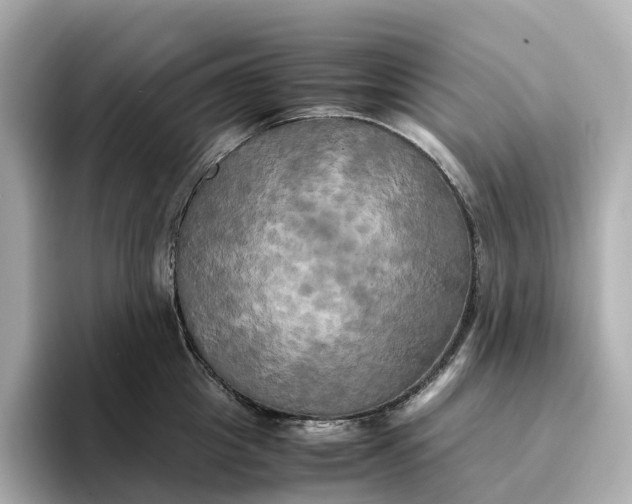 X0000095120857200712211308