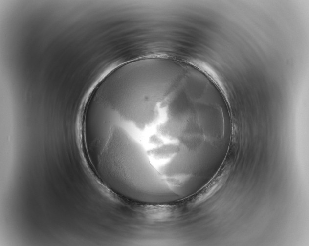 X0000095120859200712211308