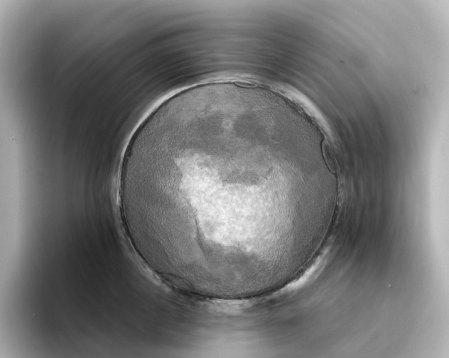 X0000095120860200712211308