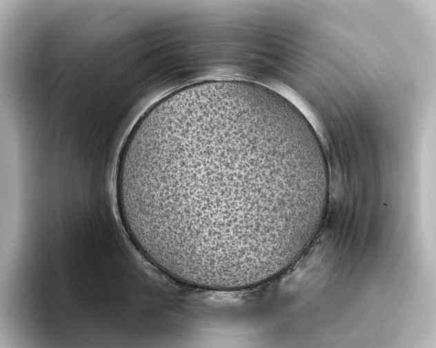 X0000095120861200712211308