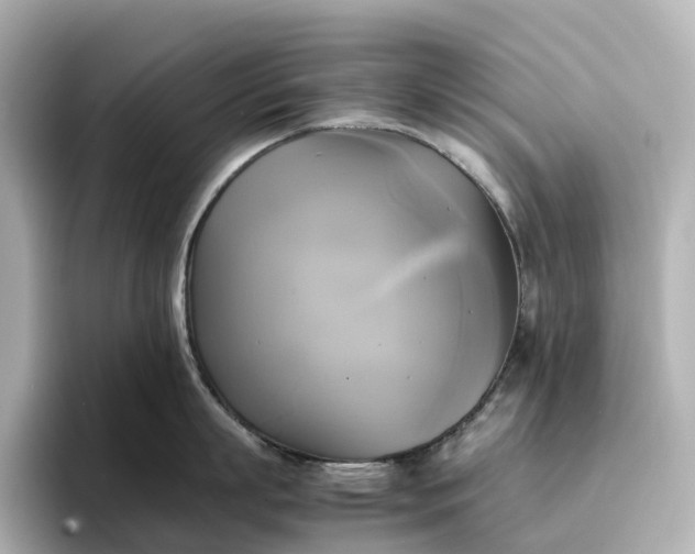 X0000095120863200712211308