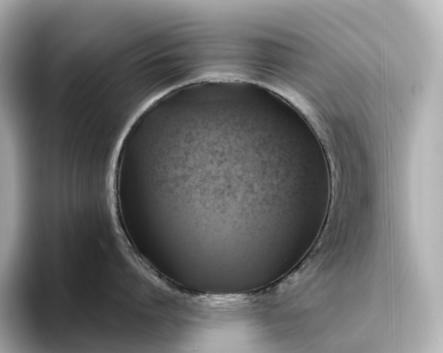 X0000095120864200712211308