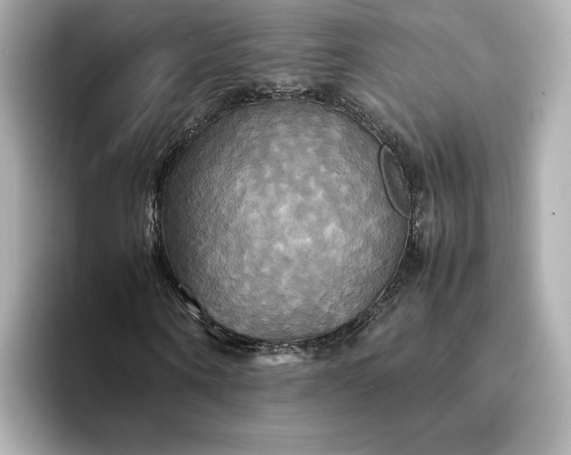 X0000095120866200712211308