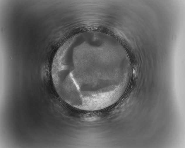 X0000095120867200712211308