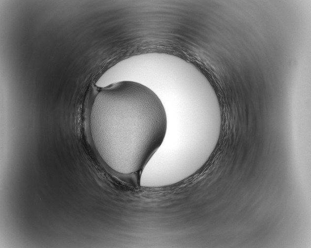 X0000095120868200712211308